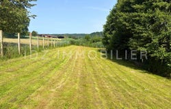 Hagenthal-le-Bas, Haut-Rhin 68220