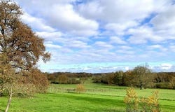 Louhans, Bourgogne 71500