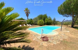 Oletta, Corsica 20232