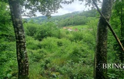 Gérardmer, Vosges 88400