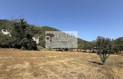 Serra-di-Fiumorbo, Corsica 20243