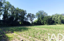 Allaire, Brittany 56350