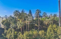 Cannes, Provence-Alpes-Côte-d'Azur 06400