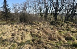Bouzonville, Moselle 57320
