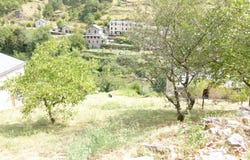 Les Vignes, Lozère 48210