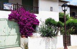 Saintes-Maries-De-La-Mer, Provence-Alpes-Côte d'Azur 13460