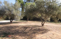 Uzès, Languedoc-Roussillon 30700