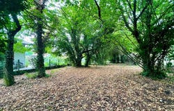 Pessac, Aquitaine 33600