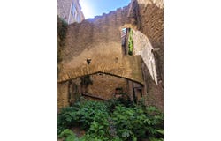 Alignan-du-Vent, Languedoc-Roussillon 34290