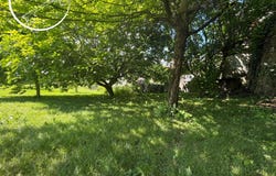 Saint-Georges-de-Commiers, Auvergne-Rhône-Alpes 38450