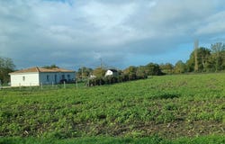 Chouppes, Nouvelle-Aquitaine 86110