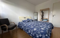 BLANQUEFORT, Nouvelle-Aquitaine 33290