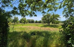 Le Grand-Pressigny, Centre 37350
