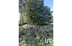 Courtenay, Centre-Val de Loire 45320
