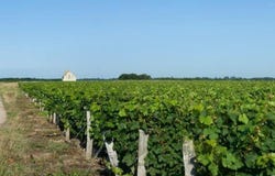 Mareuil-sur-Cher, Centre 41110
