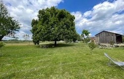 Hommes, Indre-et-Loire 37340