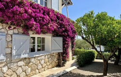 Antibes, Provence-Alpes-Côte-d'Azur 06600
