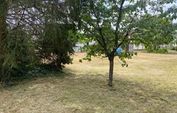 LOURY, Centre-Val de Loire 45470