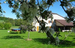 VILLE SUR ILLON, Grand Est 88270