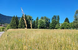 Valdeblore, Provence-Alpes-Côte d'Azur 06420