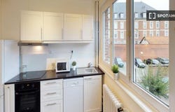 lille, Hauts-de-France 59800