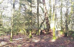 LANDEVANT, Bretagne 56690