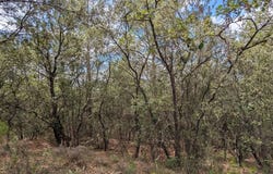 Carcès, Var 83570