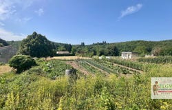 Colognac, Languedoc-Roussillon 30460