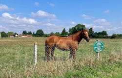La Croisille, Eure 27190
