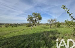 Farschviller, Grand Est 57450