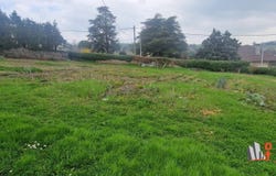 Saint-Martin-la-Plaine, Loire 42800