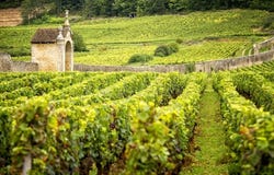 Beaune, Bourgogne-Franche-Comté 21200