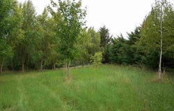 Épernon, Eure-et-Loir 28230