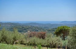 Grasse, Provence-Alpes-Côte d'Azur 06520