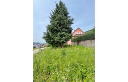 NATZWILLER, Grand Est 67130