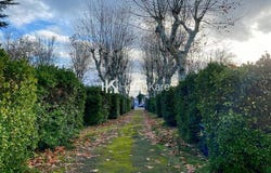 Toulouse, Haute-Garonne 31100