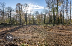 Montfort-l'Amaury, Yvelines 78490