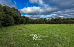 BERRIEN, Brittany 29690