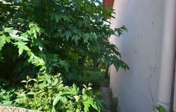 Toulouse, Haute-Garonne 31300