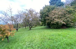 HEIDWILLER, Grand Est 68720