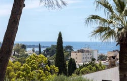 Cannes, Provence-Alpes-Côte-d'Azur 06150