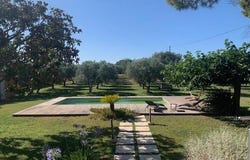 Beaucaire, Languedoc-Roussillon 30300