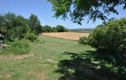 Albi, Midi-Pyrénées 81000