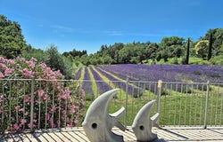 MONTELIMAR, Auvergne-Rhône-Alpes 26200