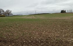 Département Indre-et-Loire, Bossée, Centre-Val de Loire 37240