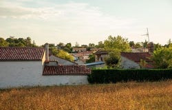 Saint-Michel-Le-Cloucq, Pays de la Loire 85200