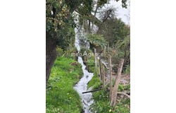 Rousson, Bourgogne 89500
