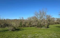 Floressas, Midi-Pyrénées 46700