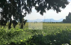 Cléon-d'Andran, Rhône-Alpes 26450