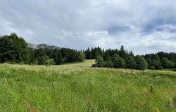 Corrençon-en-Vercors, Isère 38250